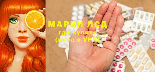 стаф Магас