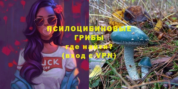 марки lsd Вяземский