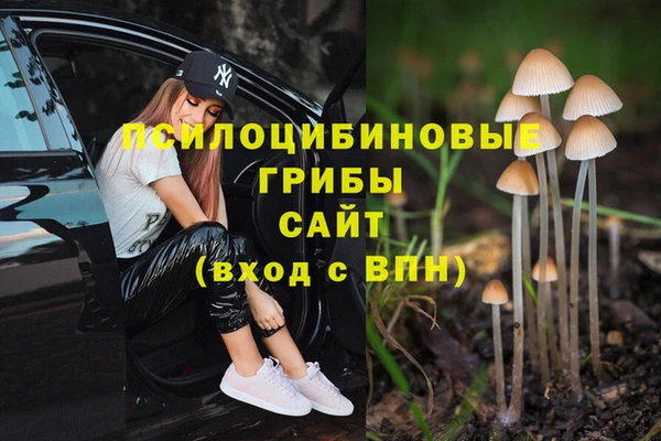 дурь Волоколамск