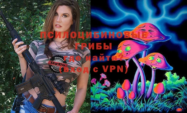 apvp Корсаков